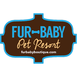 Team Page: Fur Baby Pet Resort